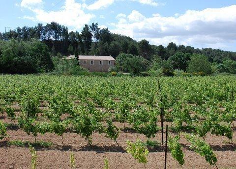 Domaine De "Creva-Tinas" Bed and Breakfast Mailhac Εξωτερικό φωτογραφία