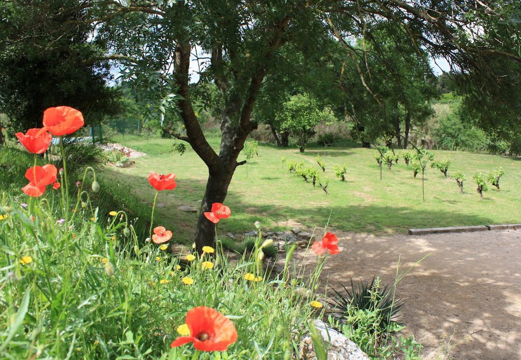 Domaine De "Creva-Tinas" Bed and Breakfast Mailhac Εξωτερικό φωτογραφία